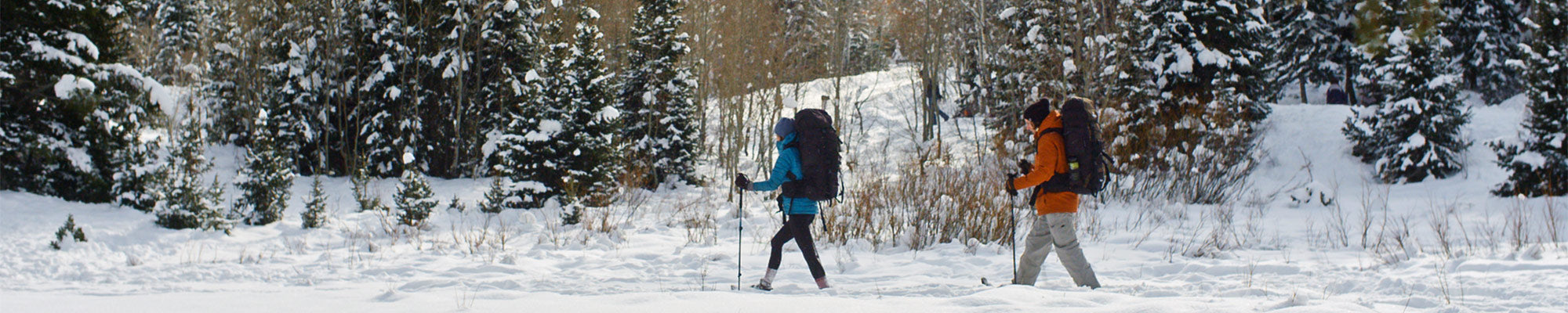 Two people snowshow together through a snowy forest while wearing TETON Sports Backpacks.