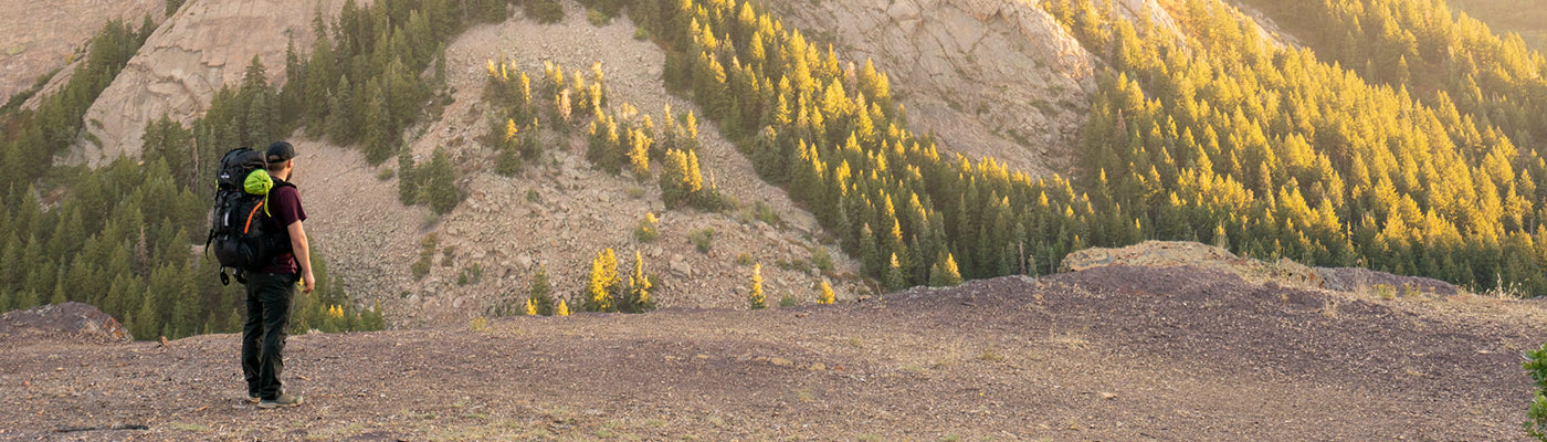 A lone backpacker stands on a hill while wearing a TETON Sports backpack and viewing the wildflowers.