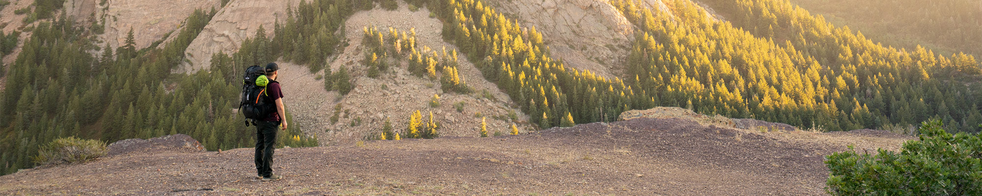 A lone backpacker stands on a hill while wearing a TETON Sports backpack and viewing the wildflowers.