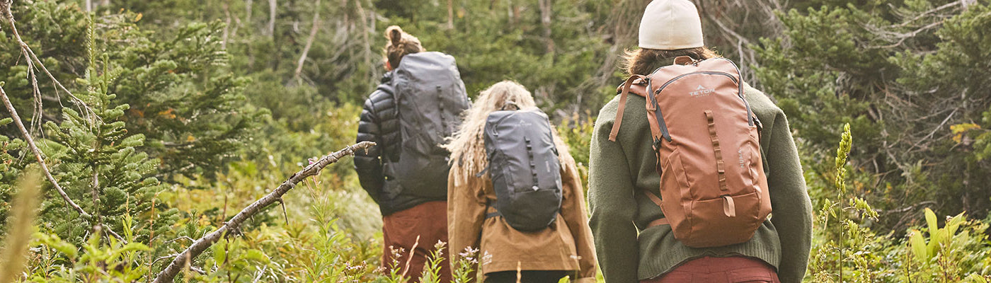 A group of friends hike through a green forest with their TETON Sports Numa backpacks.