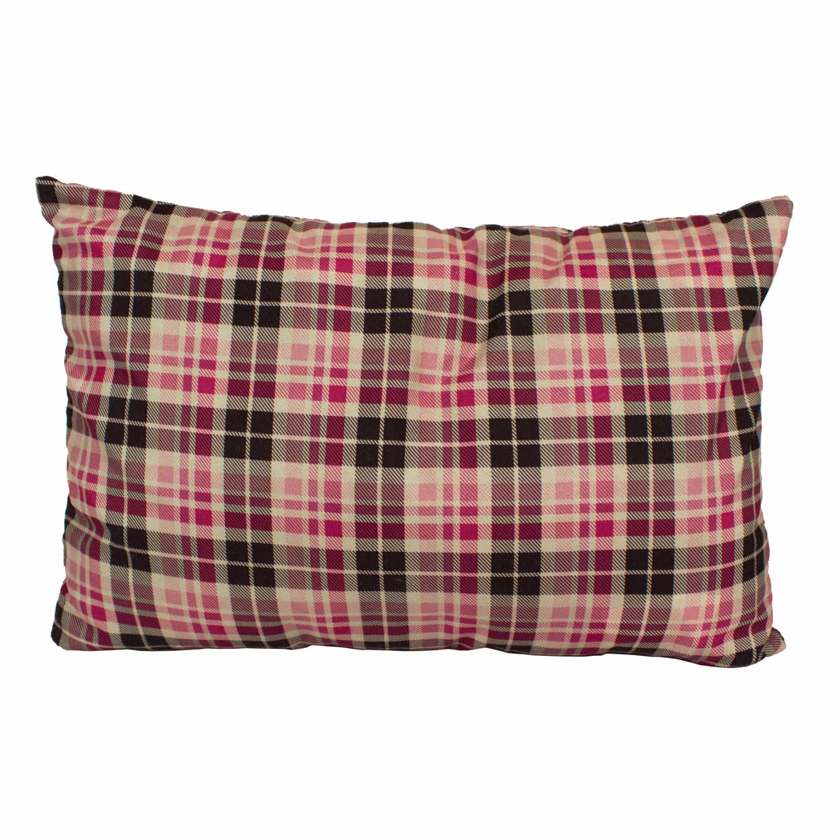 XL Camp Pillow w/ pillow case