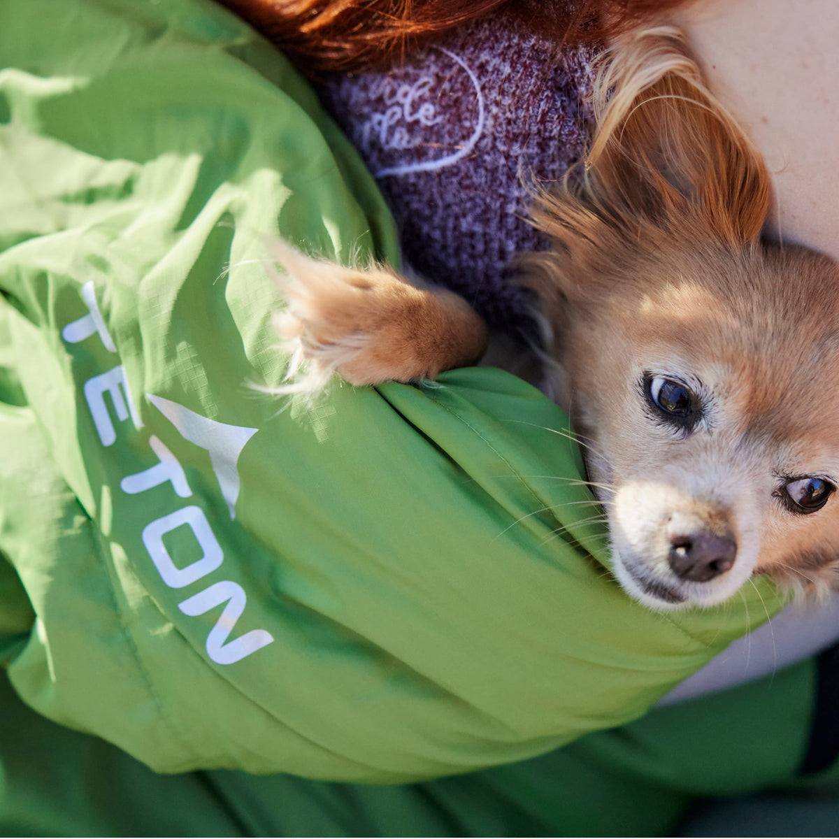 Small dog peeking out from a green Teton sleeping bag