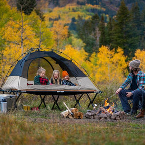 TETON Sports Vista 2-Person Quick Tent in Gray Gray 2003GY