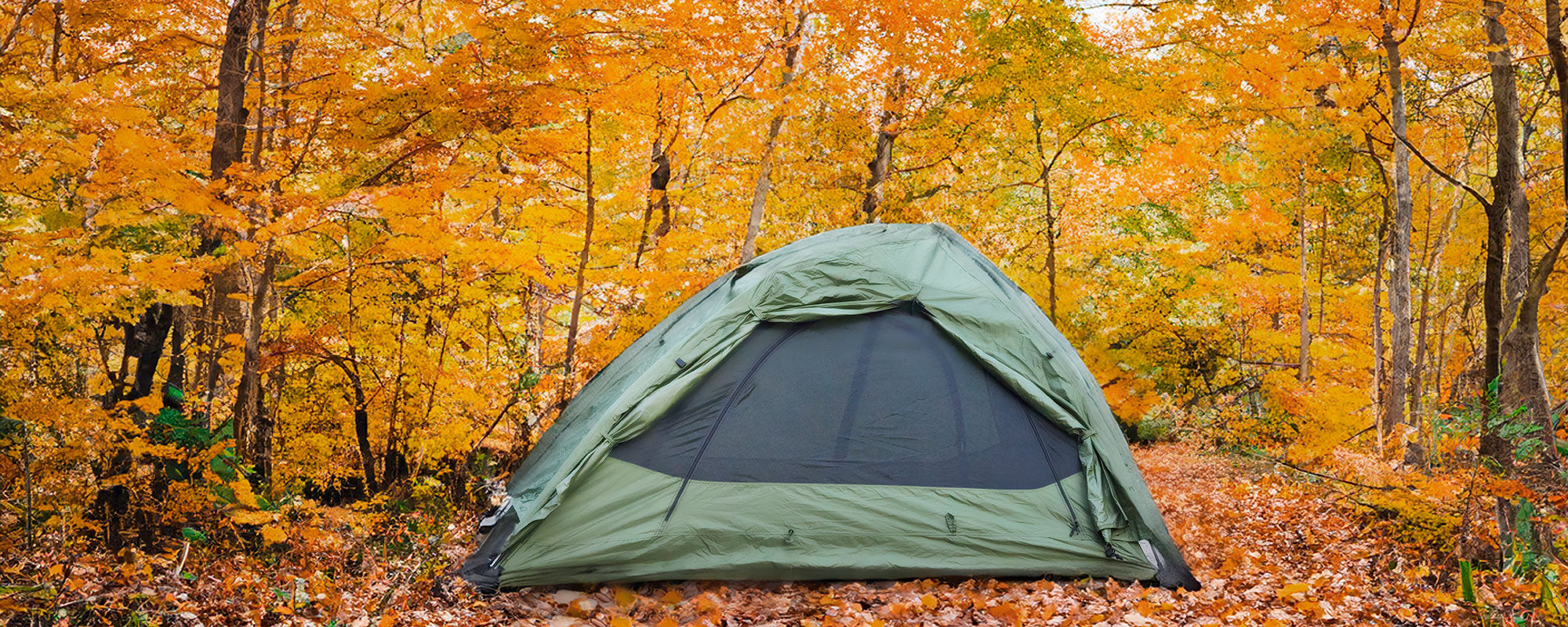 Vista Tent with fall colorful leaves