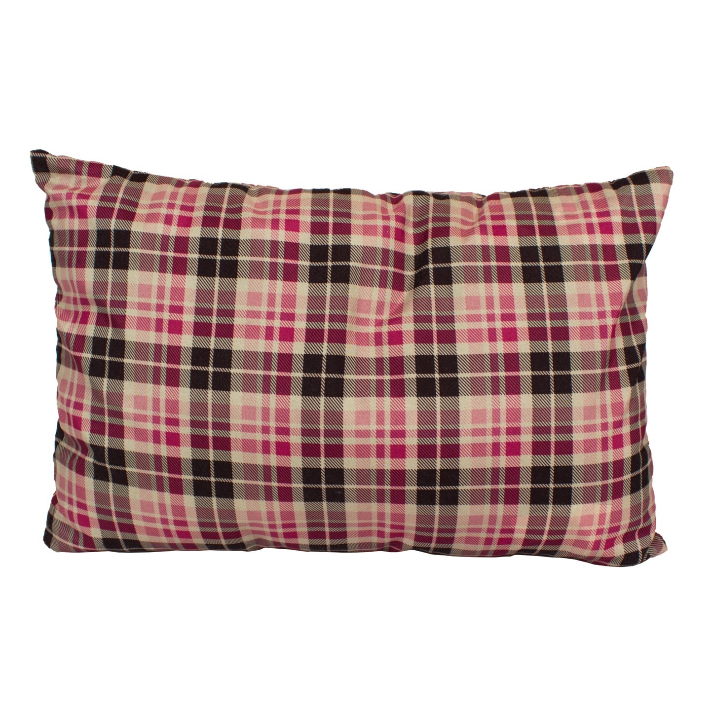 XL Camp Pillow w/ pillow case