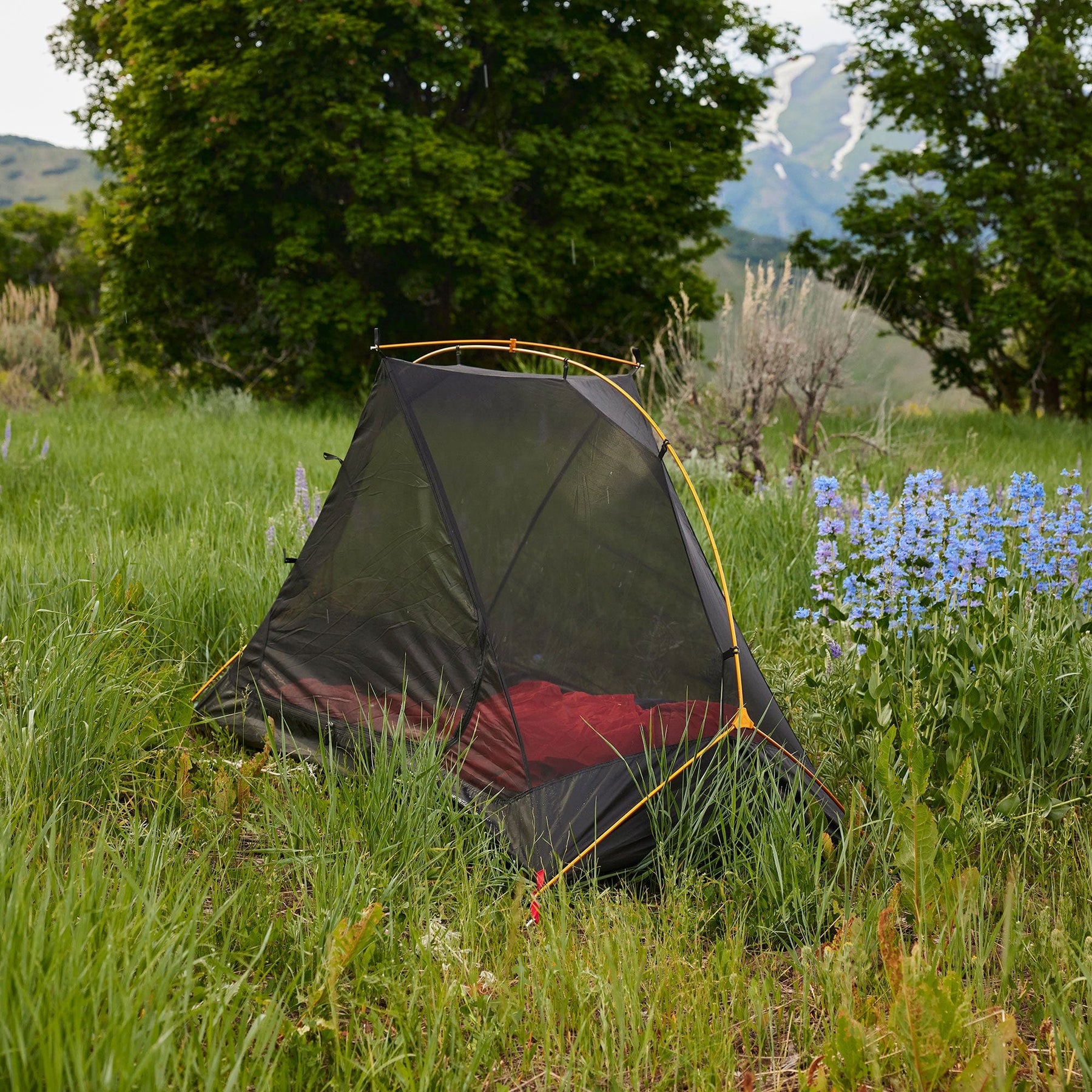 TETON Sports Mountain Ultra Tents